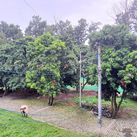 Nature View Homestay Дехрадун Екстериор снимка
