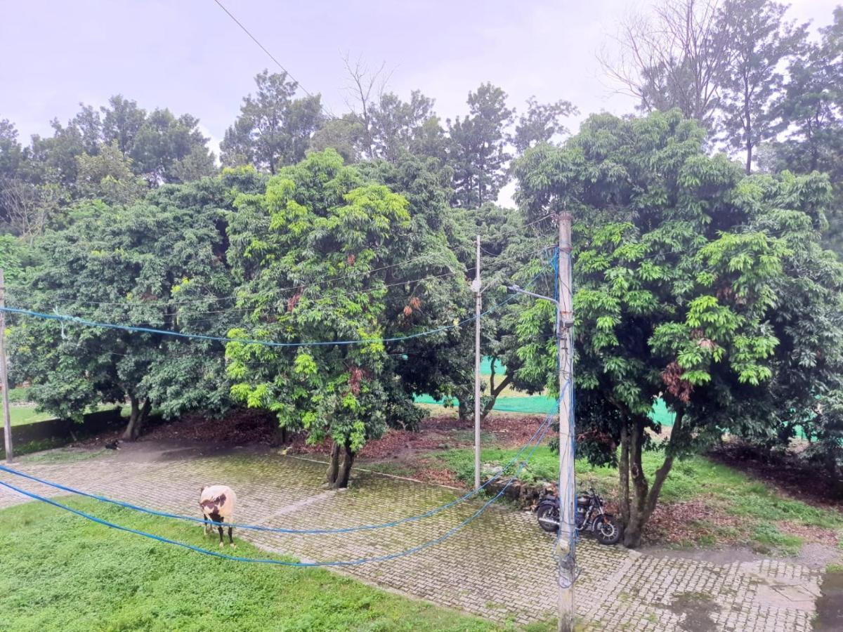 Nature View Homestay Дехрадун Екстериор снимка